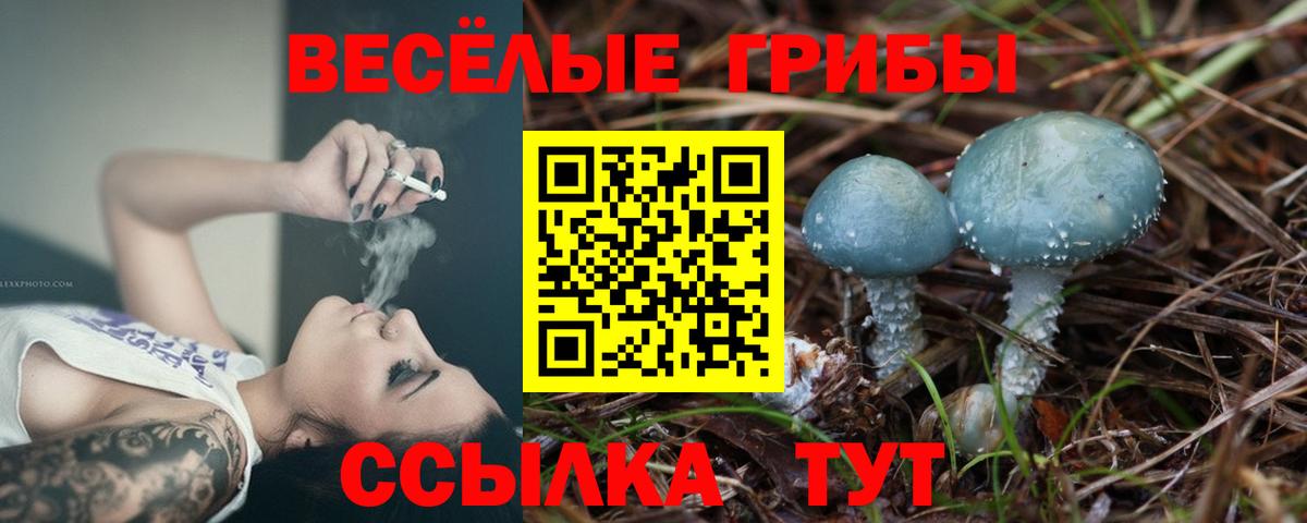 Мурино  Псилоцибиновые грибы Magic Shrooms  Вход с VPN 